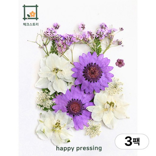 체크스토리 압화 컬러가든시리즈 누름꽃 꽃송이 압화재료 공예