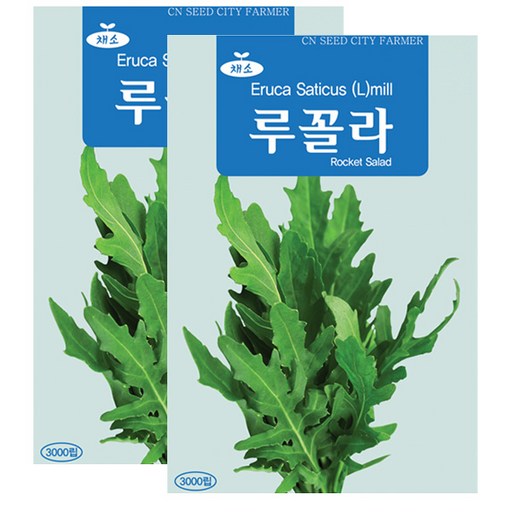 세인화분 루꼴라씨앗 3000립 채소씨앗 로켓샐러드 루꼴라 씨앗