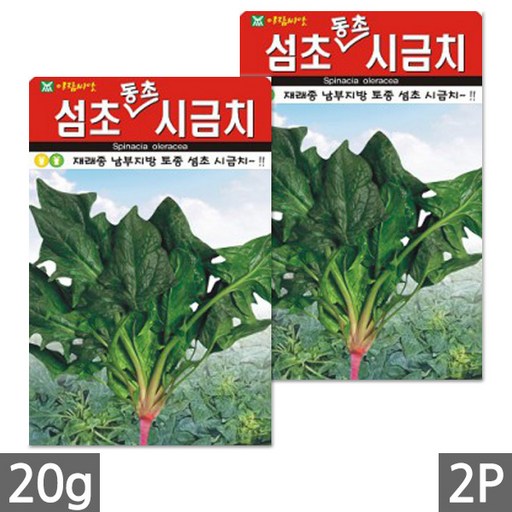 세인화분 국산 재래종 섬초 동초 시금치 소포장 - 토종 씨 씨앗