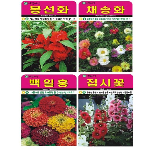 꽃 씨앗 4종 (봉선화+채송화+백일홍+접시꽃)
