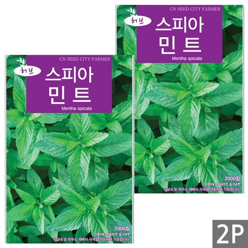 세인화분 스피아민트 2000립 - 허브씨앗