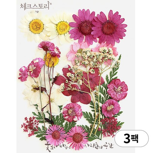 체크스토리 압화 누름꽃 꽃송이 압화공예 종합팩