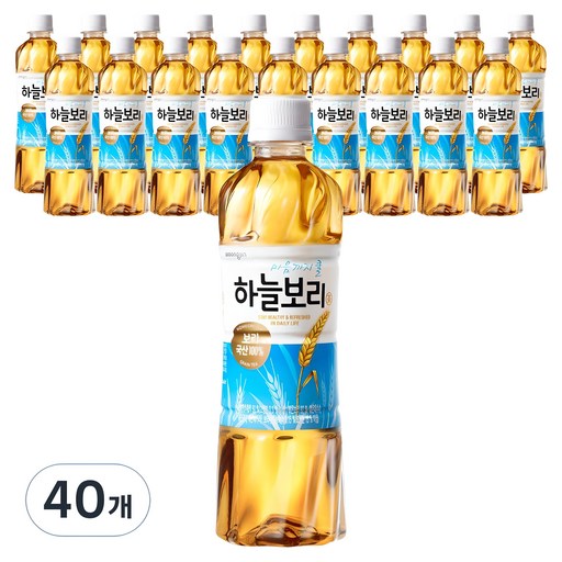 하늘보리