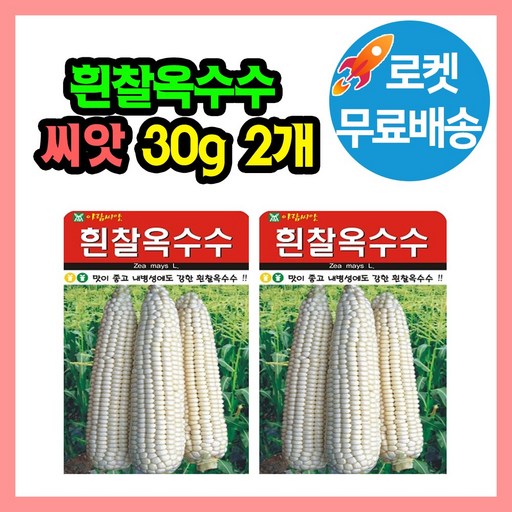 흰찰옥수수 씨앗 (합 60g) 옥수수 찰옥수수 씨 종자