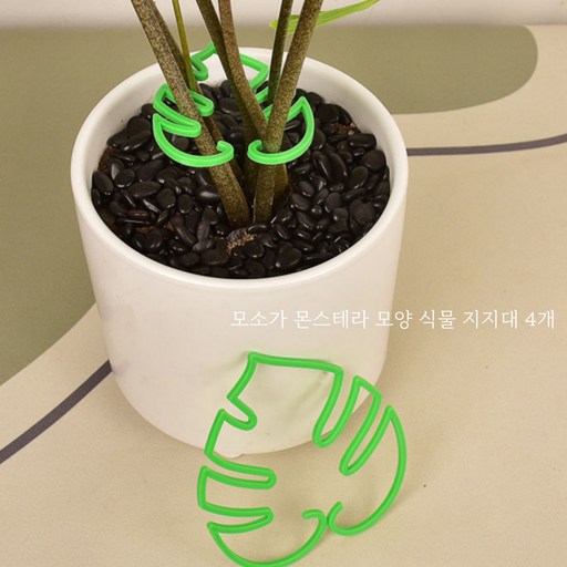 모소가 몬스테라 모양 식물 지지대