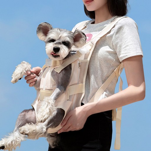 루나초이 강아지 포대기 앞가방