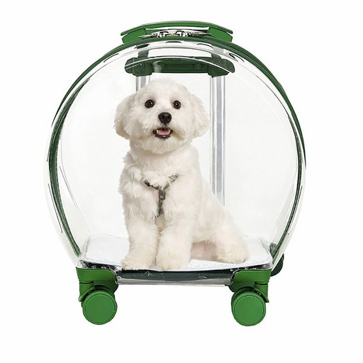 Garrl 고양이 투명 캐리어 휴대식 캣백 멀티 펫 에어 박스 강아지 외출 가방 반려동물 퍼프 박스