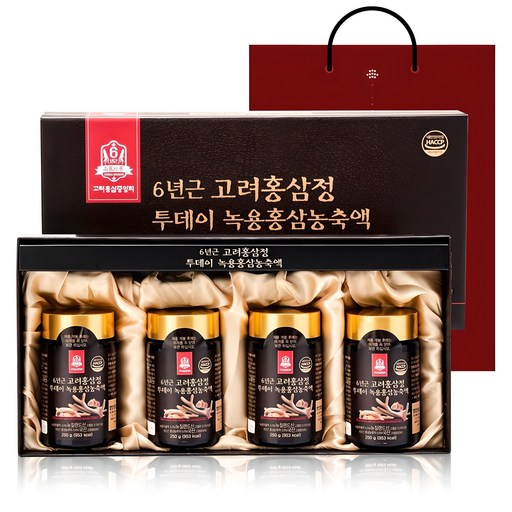 고려홍삼중앙회 6년근 고려홍삼정 투데이 녹용홍삼 농축액 + 쇼핑백
