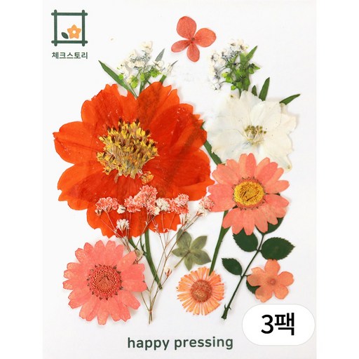 체크스토리 압화 미니컬러믹스 방과후수업 자연물놀이 꽃송이