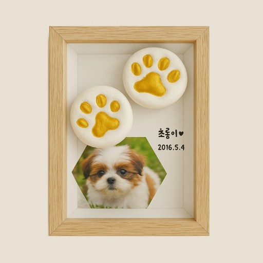 반려동물 발도장 DIY 세트+물감 3종 / 강아지 고양이 핸드프린팅