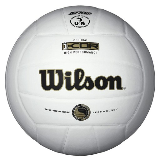 Wilson I-COR 하이 퍼포먼스 발리볼 배구공 화이트