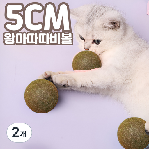 코야미 마따따비볼 고양이 장난감