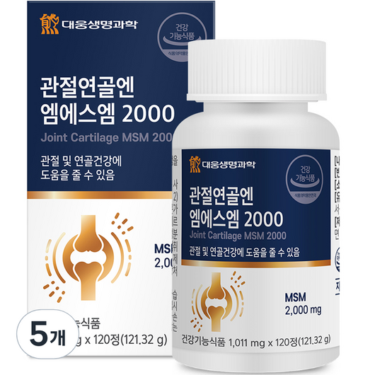 대웅생명과학 관절연골엔 엠에스엠 2000, 120정, 5개