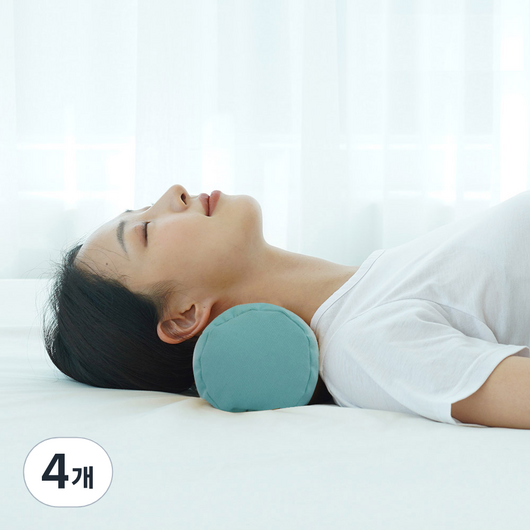 리브맘 안녕거북이 경추베개, 민트, 4개