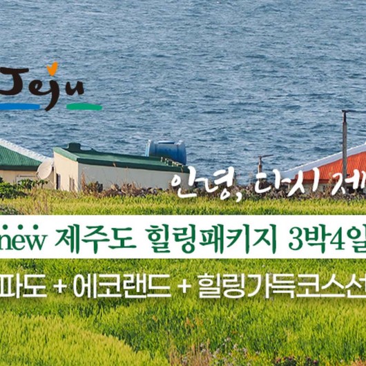 [제주도] 제주도 3박4일 가파도 에코랜드 아리랑혼 카멜리아힐 숨도 힐링패키지 3박4일