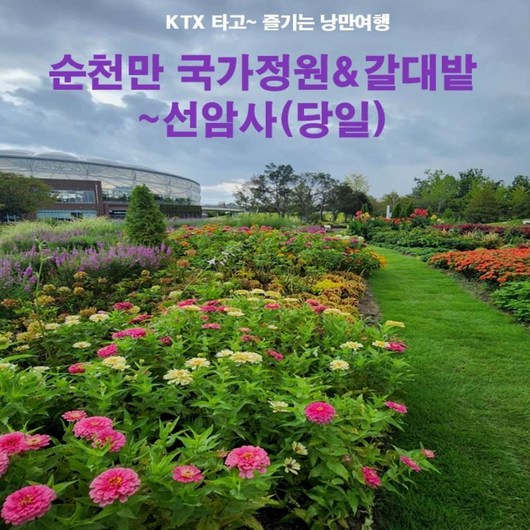 [전라] [KTX] 순천만 습지&선암사 기차여행(당일)