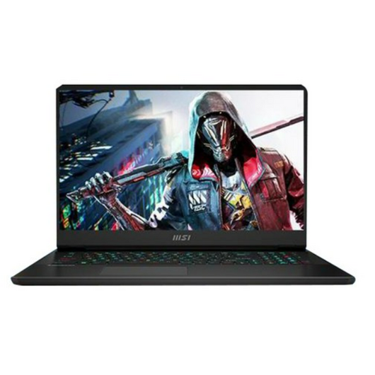 MSI 2023 벡터 GP77 13VG 17.3, All Black, 코어i7, 1TB, 16GB, Free DOS, MS-17K