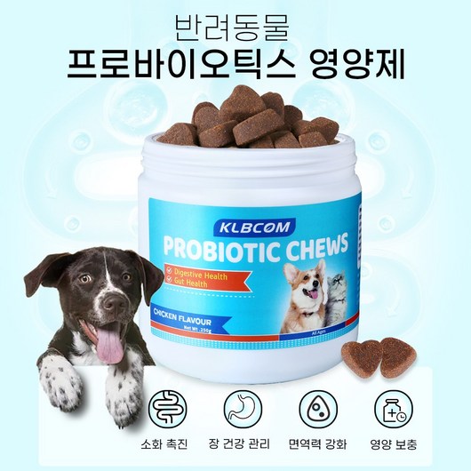 강아지 유산균 영양제 반려동물 프로바이오틱스 영양제 장 건강 면역력 강화 소화 기능 개선 대용량 츄르 펠렛 동물 비피더스 카세이 유산균 등 생유산균 6종, 1개, 250g, 장건강/유산균