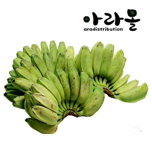 아라몰 그린 사바 바나나 (Green Saba Banana), 6kg, 1개