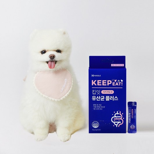 강아지 유산균 영양제 면역 기호성 분말형 60g 2gx30포, 단품, 1개
