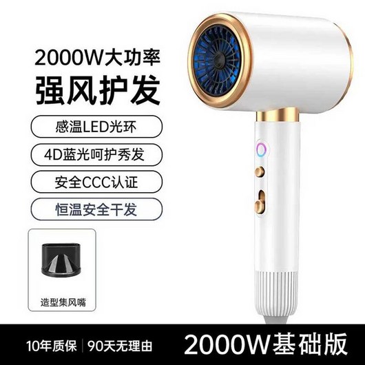 미용실용 전기 드라이어 가정용 고출력 강풍, 기본-플래티넘-2000W, 상세페이지 참고