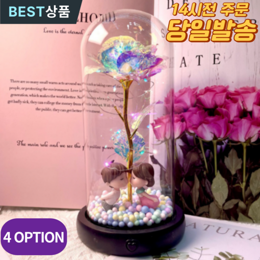 데이엑스 홀로그램 장미 무드등 LED 수유등 유리돔 꽃, 기타 프로포즈