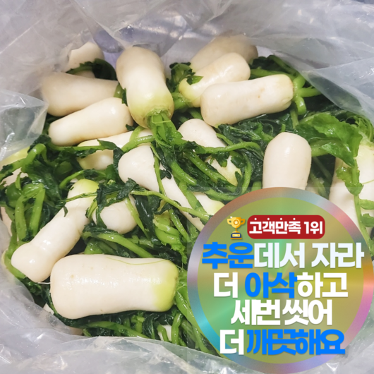 3중 세척 더 아삭하고 깨끗한 절임 알타리무 총각무 최상품, 1박스, 4kg