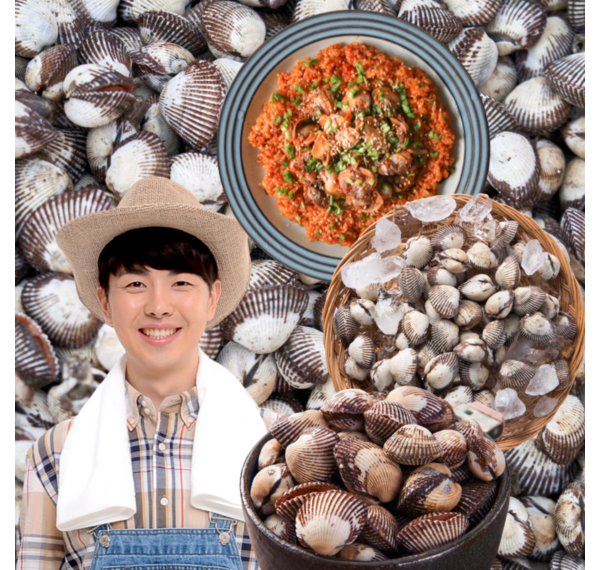 세척벌교 중요 정보 요약: 깨끗함과 편리함의 완벽 조화