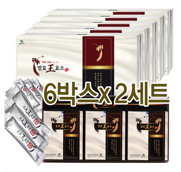 건강과 장 건강의 완벽한 조화: 충무발효황국균의 놀라운 효능과 안전성