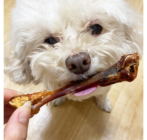 내 사랑둥이 대형견을 위한 건강 간식 추천: 튼튼한 몸과 행복한 미소를 위한 선택 가이드