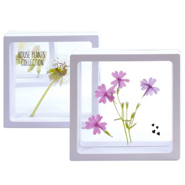 투명 액자_하바리움/압화/곤충 (대) (10인용), 10인용, 받침B