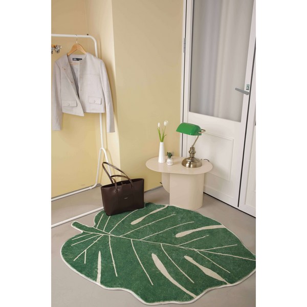  희귀식물 몬스테라 러그 