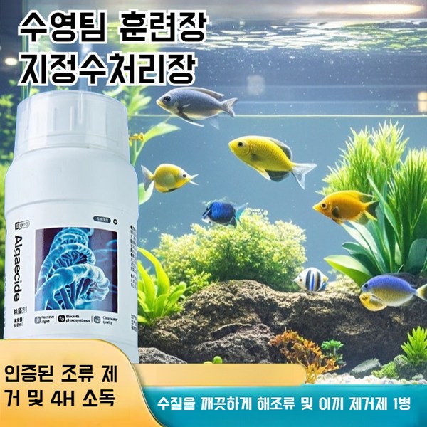 어항정화제거제 이끼녹조제거제