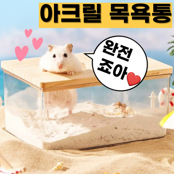 햄스터 아크릴 사각 목욕 화장실