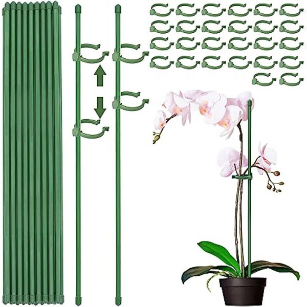 플랜트 식물 지지대 말뚝 정원 단일 줄기 꽃 아마릴리스 케이지 플라스틱 스탠드 15 개