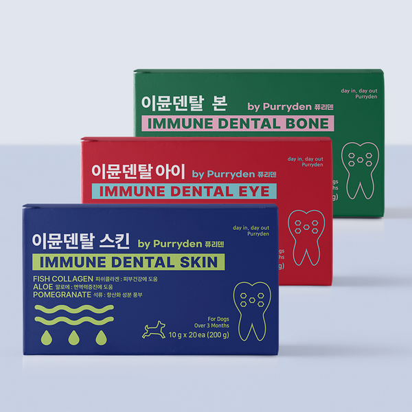 퓨리덴 이뮨덴탈 질환맞춤 프리미엄 강아지껌 간식 개껌 대형견 덴탈껌 치석제거 오래씹는껌 양치 치석 새끼 오래먹는 가수분해, 스킨(피부), 1통, 200g