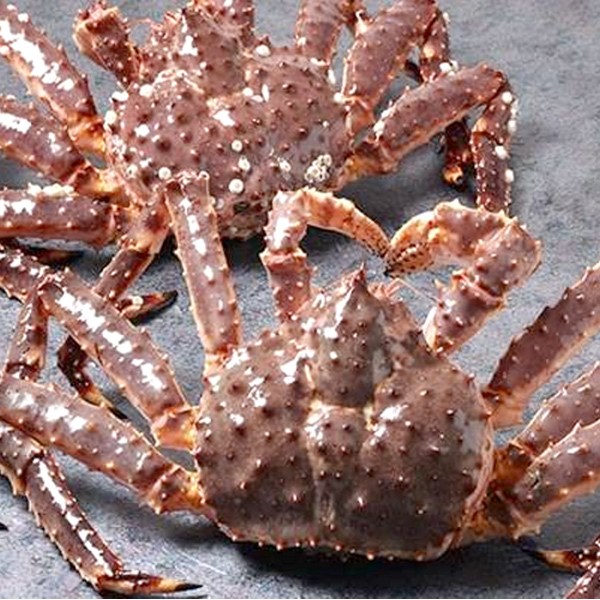 킹크랩 레드 2kg: 싱싱함이 넘치는 특대급 킹크랩의 향연!