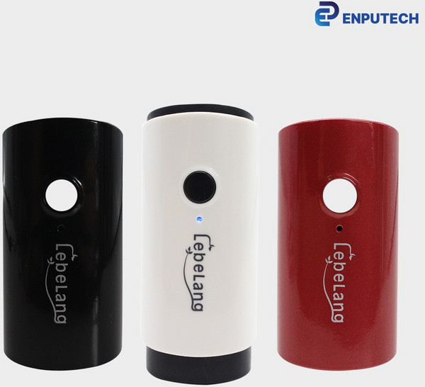 리브랑 음이온 목걸이 공기청정기 3가지 케이스 1900만 음이온, 1개