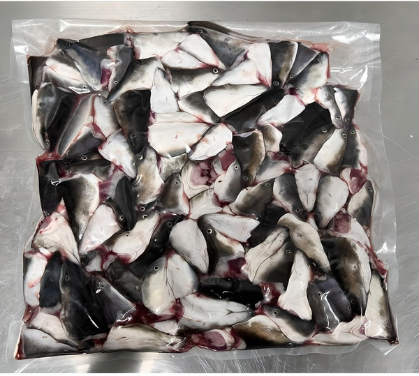 고릴라장어 1차 핏물 손질 완료 3kg 단위 국내산 대용량 민물장어 뼈 머리, 1개, 민물장어 머리 3kg