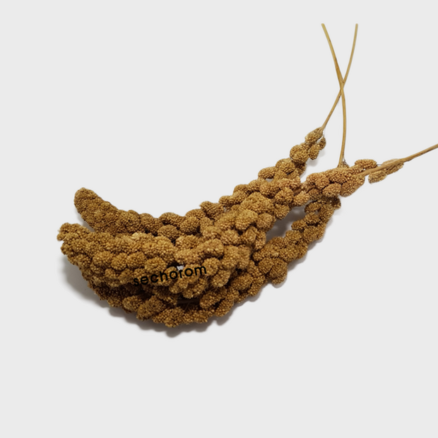 3579e162-e5c8-47d7-b97a-5317e234a7a7.png