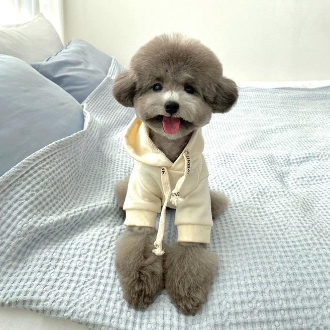 추천9 강아지 옷 후드티