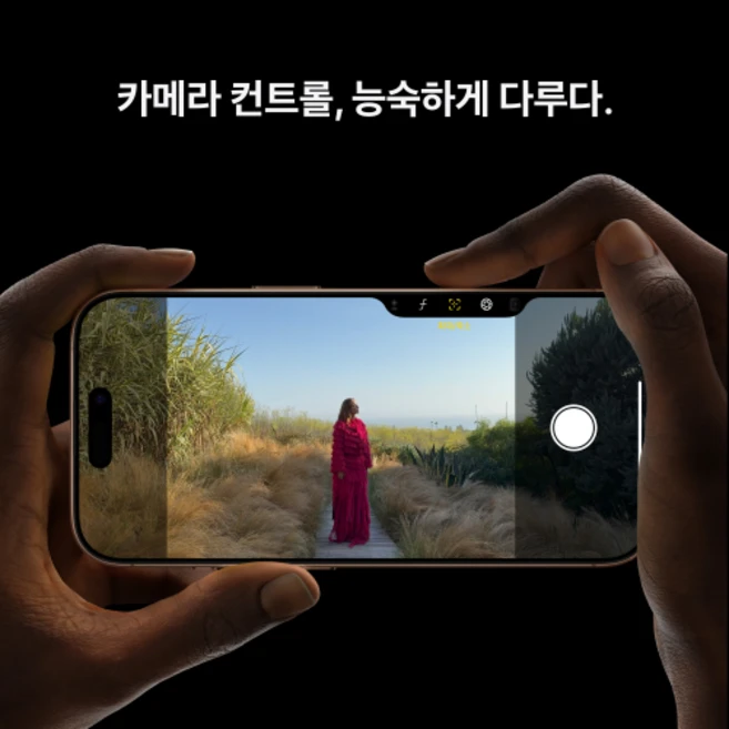 Apple 정품 아이폰 16 Pro 자급제, 내추럴 티타늄, 256GB