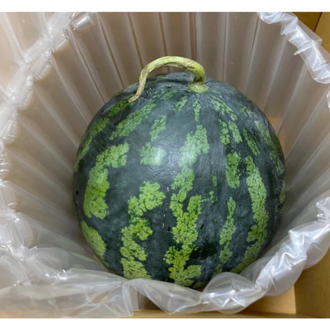 국산 하우스 수박 고당도 맛있는 꿀수박 흑수박 당도선별 함안 고창 산지직송, 1개, 3kg