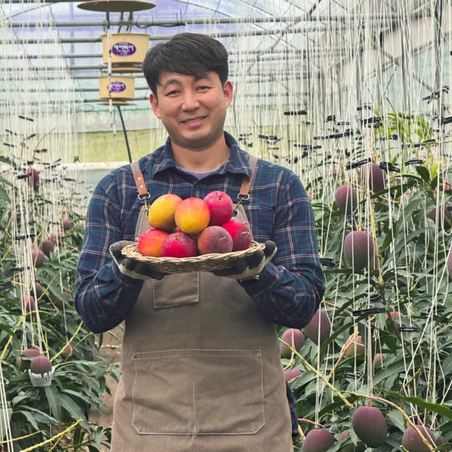 [한정물량]프리미엄 제주애플망고, 1박스, 프리미엄 특품3kg(9-10과)