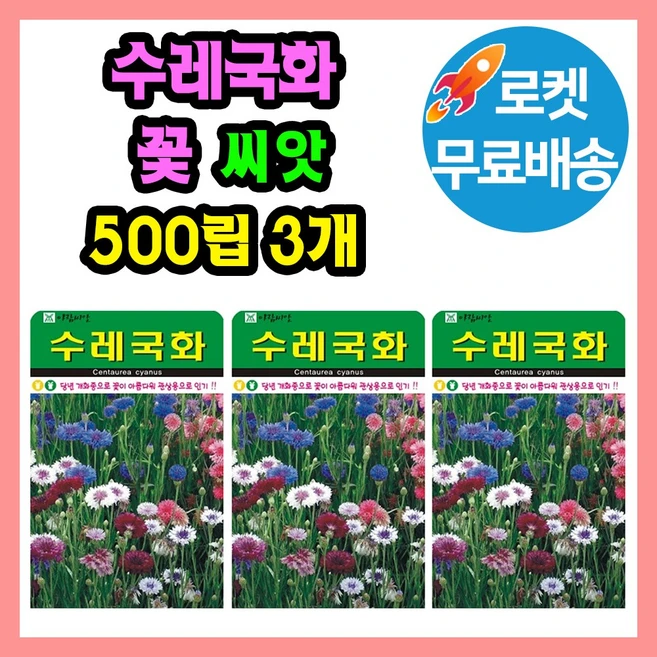 수레국화 꽃 씨앗 500립 야생화 종자, 3개