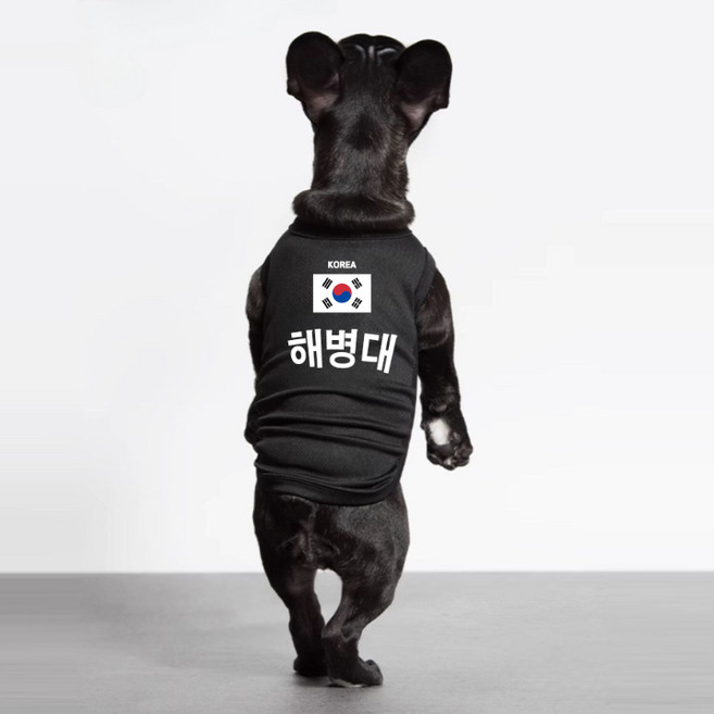 추천6 강아지 옷