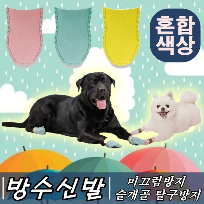 추천7 강아지 신발
