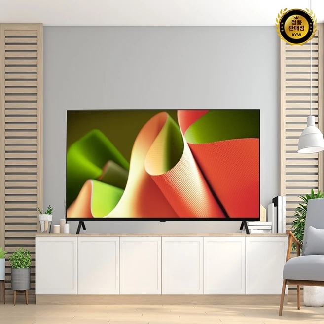 추천8 oled55b4kna