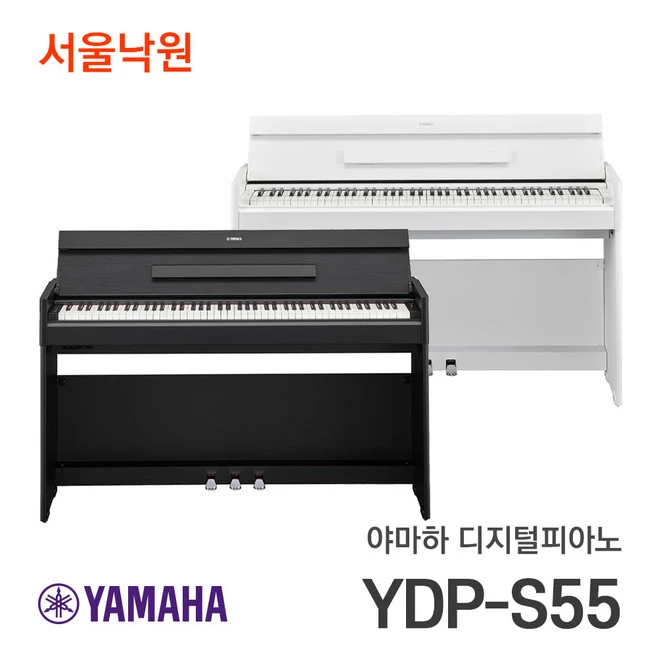추천1 ydp s55