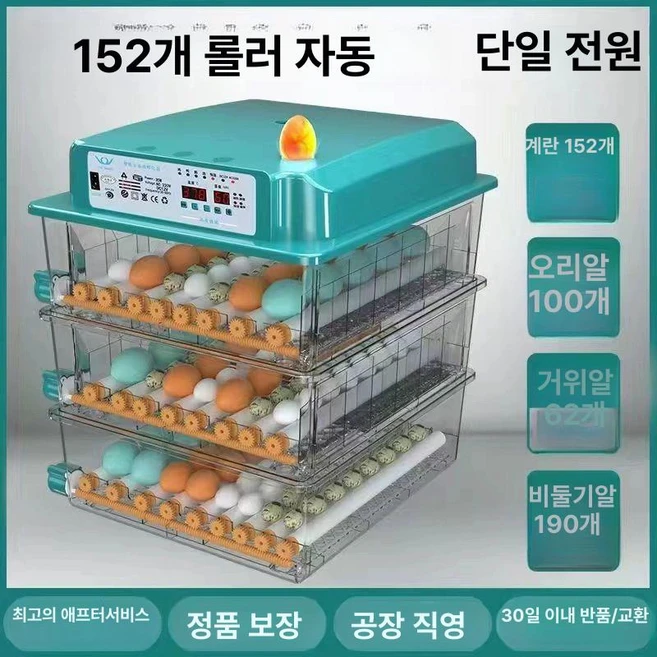 추천10 자 리뷰